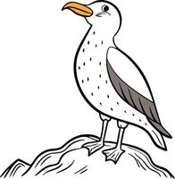 Seagull Illustration design vector