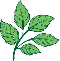 five leaves, rendered in a refreshing palette of greens vector
