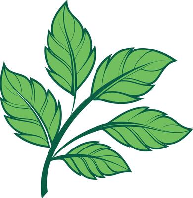 five leaves, rendered in a refreshing palette of greens