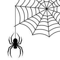 Spider web with spider on it vector