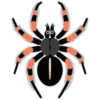 A black and orange spider with long legs vector