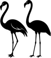 The silhouettes are designed with clean lines and no additional details, providing a simple and clear representation of the birds vector
