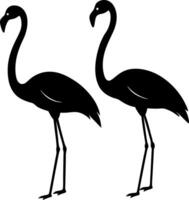The flamingos are depicted with their long necks curved in a typical posture, and their beaks are pointed slightly downward vector