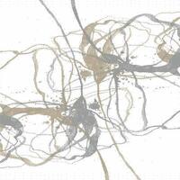 a drawing of a bunch of lines and circles vector