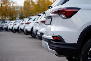 Row of white SUV's are lined up in a parking lot, close up of the vehicles back ends photo