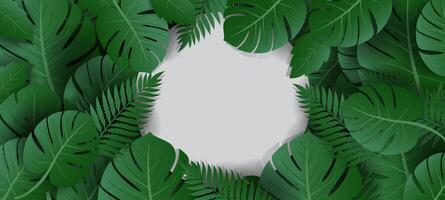 green tropical exotic leaves frame with white space for text vector