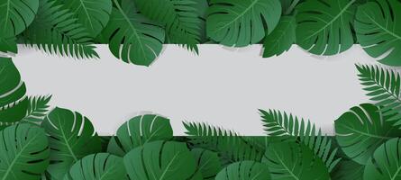 green tropical leaves background with blank space for text vector