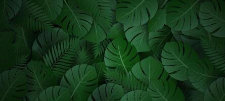 a green jungle background with many exotic leaves vector