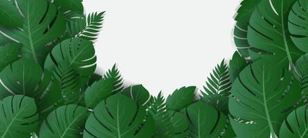green tropical leaves background with white frame space for text vector