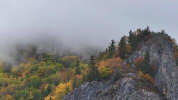 Aerial view of Foggy Mountain With Trees video