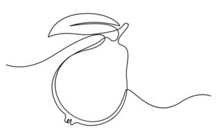 Single continuous line drawing whole and half sliced healthy organic java guava vector