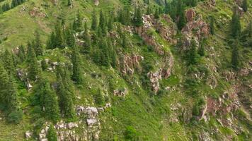 drone flight over forested mountain ridge on summer day video