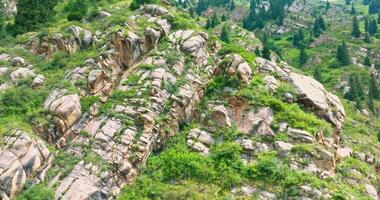 forested mountain ridge on cloudy summer day video