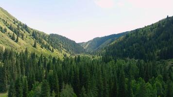 drone flight over forested mountain gorge on summer day video