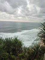 a view of the ocean from a hillside photo