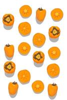 The persimmon fruit is sweet and split orange in color issolated on white vector