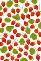 Strawberry pattern and leaf. Red strawberry fruit pattern on white background vector