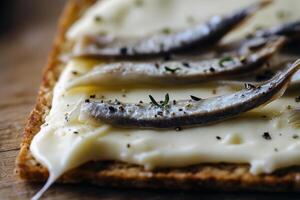 Anchovy fillets on creamy cheese cracker with herbs photo