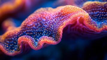 Vibrant close-up of colorful coral polyps glowing underwater photo