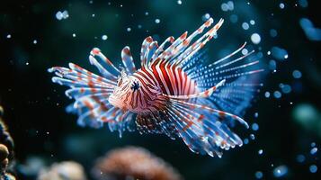 Vibrant lionfish swimming underwater with striped patterns in blue ocean photo