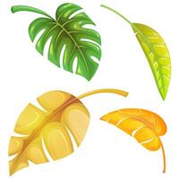 pattern with palm leaves with a soft gradient vector