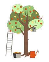 Apple tree with birdhouse and ladder 2D illustration. Basket of harvested apples, watering can. Garden tools, fruits orchard flat scene isolated on white background. Colorful cartoon image vector