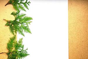 Natural greenery decorates a blank canvas on a textured background, perfect for creative projects and invitations photo