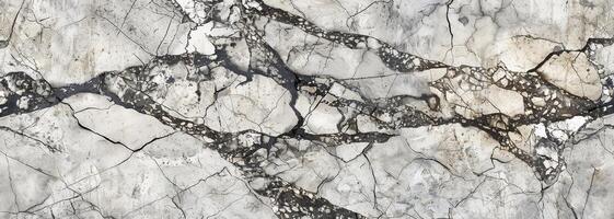 Intricate patterns in white marble reveal deep black veins, creating a sophisticated backdrop ideal for elegant design and artistic endeavors photo