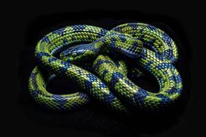 A vibrant green and blue snake winds gracefully against a black background, showcasing an intricate pattern of scales and unique textures that draw attention photo