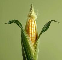 An ear of corn stands upright with silky threads gracefully draped around it, revealing bright yellow kernels nestled beneath green leaves photo