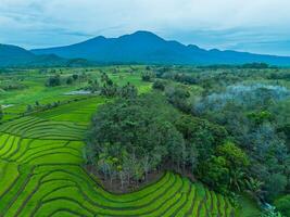 An aerial view of rice fields and mountains photo