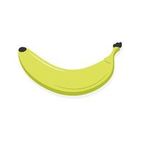 Underripe banana fruit isolated on white background. Green cartoon banana vector