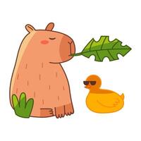 Funny Capybara and duck. Cute summer capybara. Flat illustration isolated on white background. vector