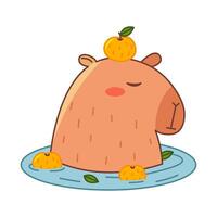 Capybara with oranges in water. Cute summer capybara. Flat illustration isolated on white background. vector