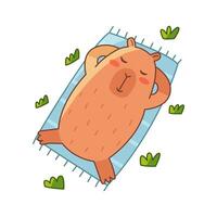 Capybara is lying on blanket. Cute summer capybara. Flat illustration isolated on white background. vector