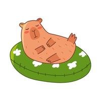 Capybara relaxes in inflatable ring. Cute summer capybara. Flat illustration isolated on white background. vector