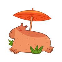 Capybara is lying under umbrella. Cute summer capybara. Flat illustration isolated on white background. vector