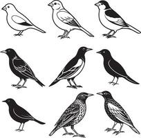 line art snow bunting icon set vector