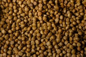 Pet food pellets scattered across a surface, showcasing their rich texture and earthy tones during daylight photo