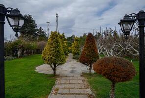 Serene pathway lined with trees leading to a tranquil garden under a cloudy sky photo