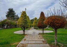 Strolling through a serene garden path lined with beautifully shaped trees under a cloudy sky in early springtime photo