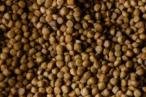 Unique look at dry pet food in a vibrant texture captured indoors during daylight hours photo