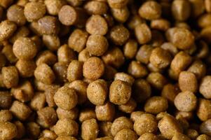 Nourishing pet food pellets in a close-up view showcasing their texture and color variations photo