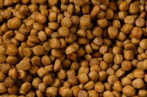 Crunchy brown morsels scattered across a surface create a textured tapestry of pet food delight photo