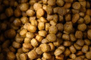 Nutrient-rich pet food scattered across a dark surface under soft lighting photo