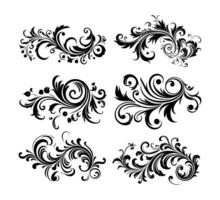 Vintage typographic design element , calligraphic decorative ornament element on white background. vector