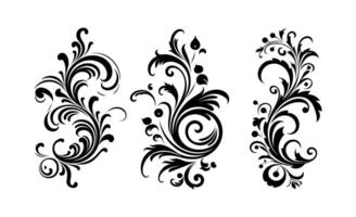 Vintage typographic design element , calligraphic decorative ornament element on black colour. vector