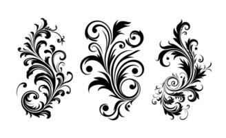 Vintage typographic design element , calligraphic decorative ornament element on black and white colour. vector