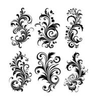 Vintage typographic design element , calligraphic decorative ornament element. vector