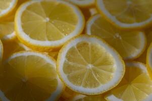 Bright yellow lemon slices shimmering under soft sunlight, creating a vibrant display in a kitchen setting photo